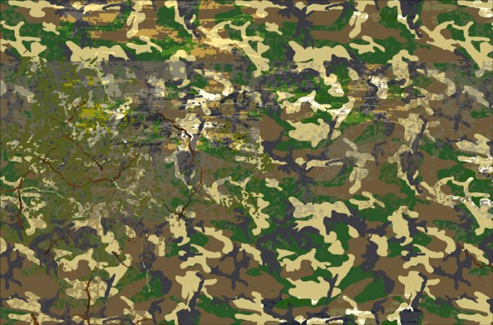 Camouflage Forrest 2